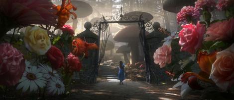 alicia wonderland antiegos